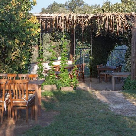 Zeytinbagi Hotel Gure Buitenkant foto